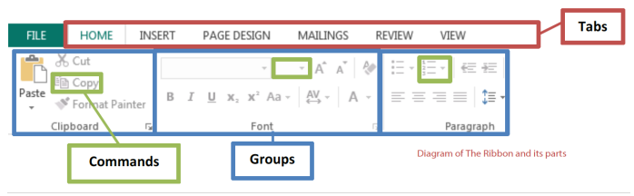 Diagram of The Ribbon and its parts