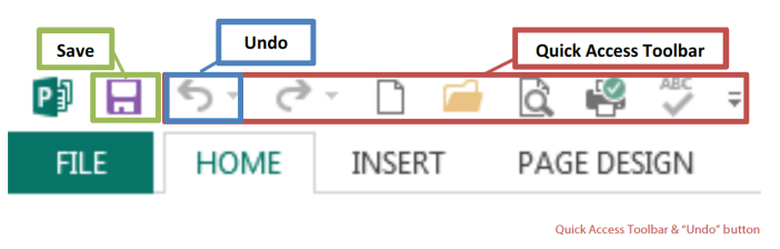 Quick Access Toolbar & Undo button